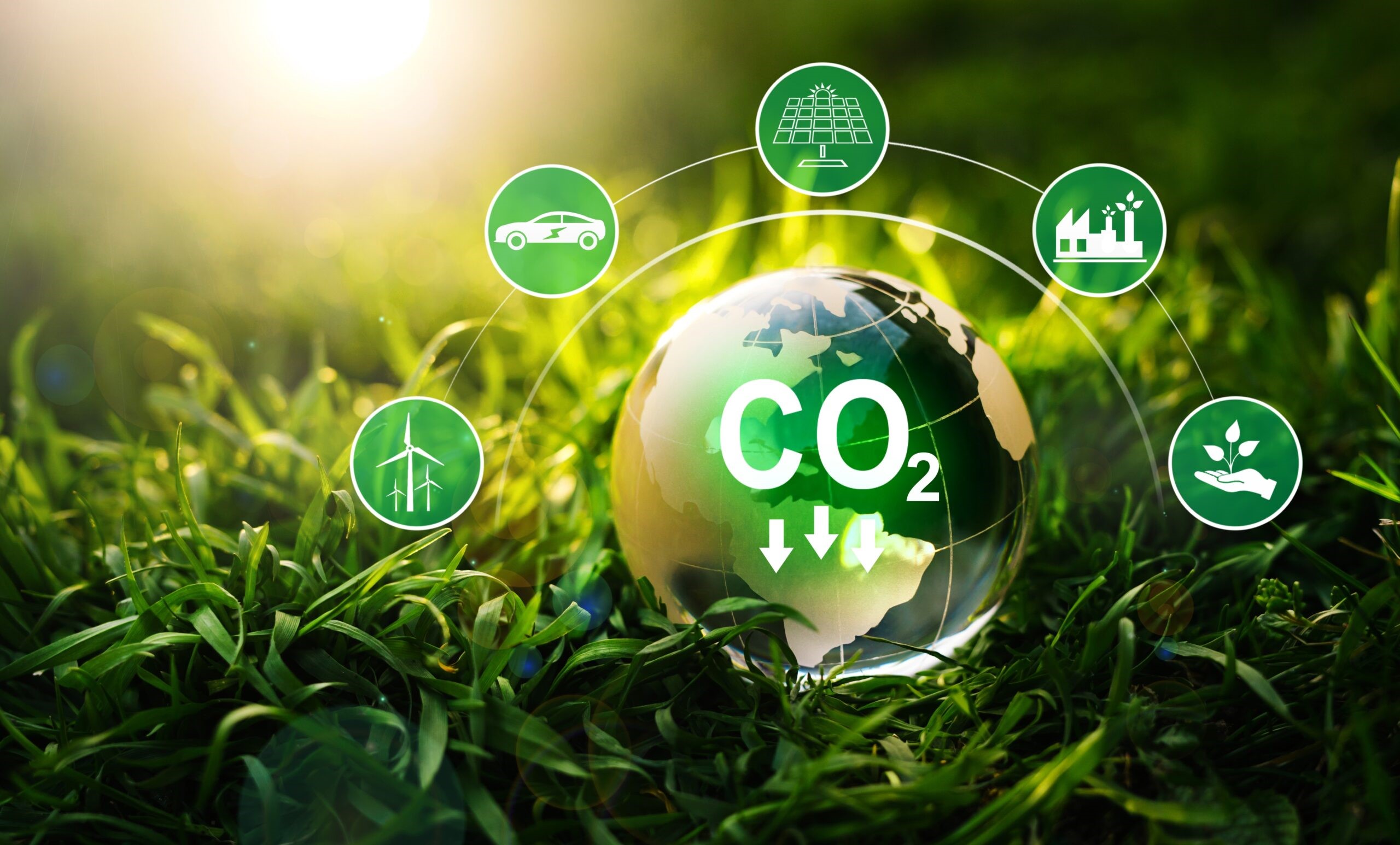 Coopavel vai receber homenagem da Alltech por reduzir emissão de CO2