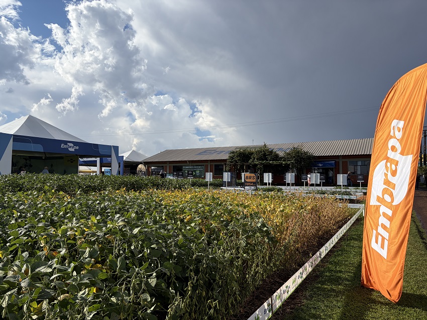 Embrapa lança novas tecnologias nesta terça, no Show Rural
