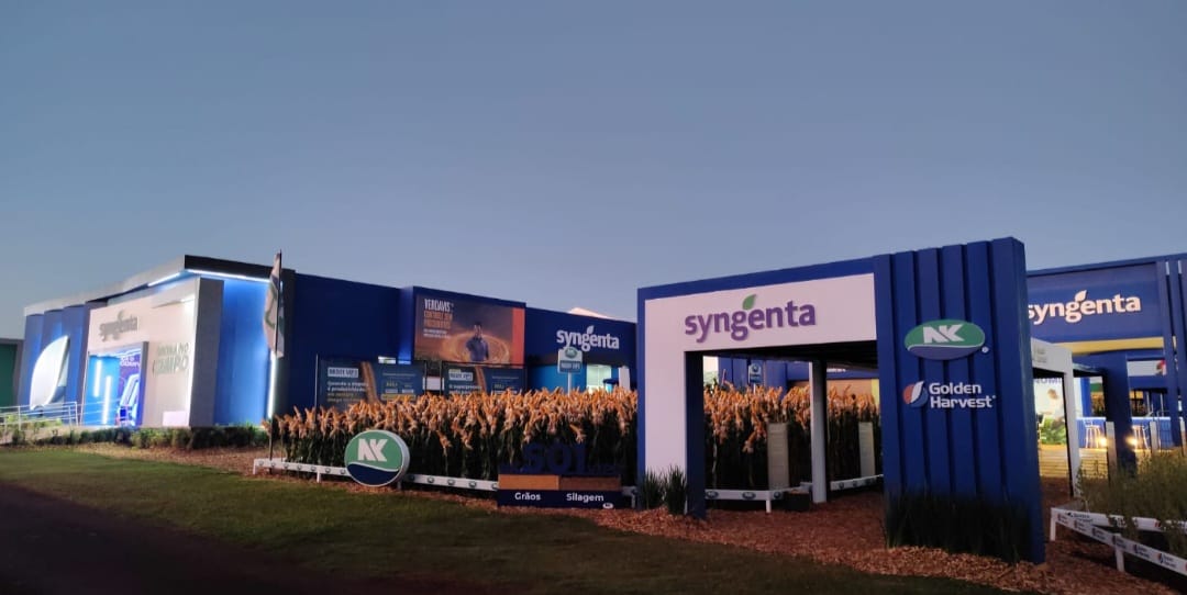 Syngenta Seeds amplia portfólio e foca em soluções para elevar teto de produtividade