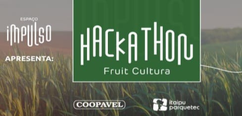 Hackathon Fruit Cultura reúne talentos para transformar cadeia da fruticultura
