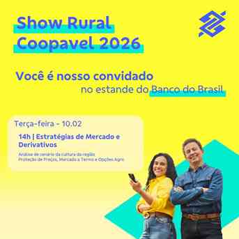 Estratégias de Mercado e Derivativos - Banco do Brasil