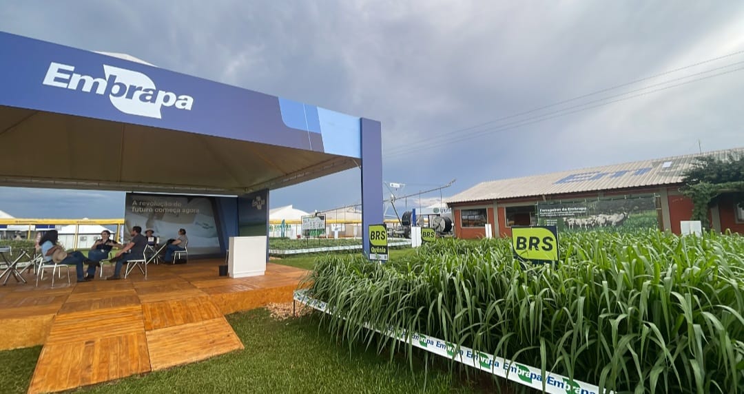 Inovações para o campo e lançamentos marcam presença da Embrapa no Show Rural