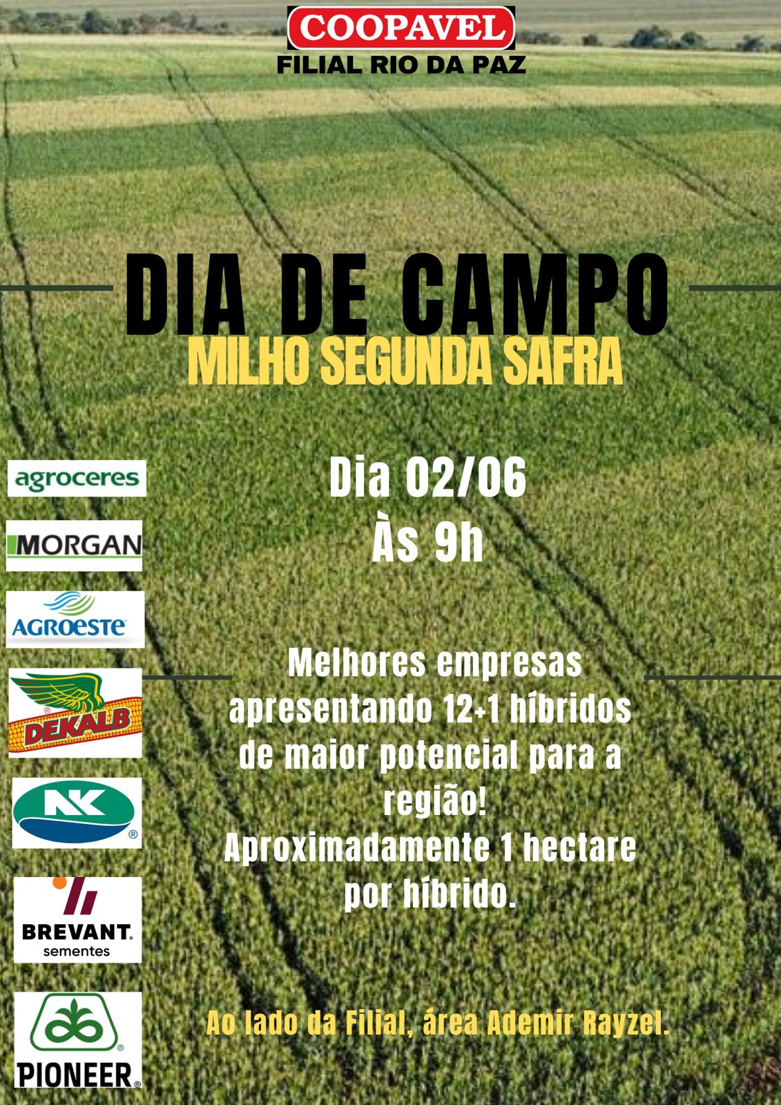 Coopavel realiza o primeiro dia de campo da filial de Rio da Paz