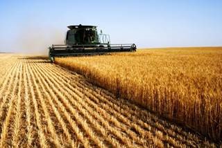 BB Seguros participa da Show Rural Coopavel