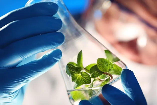 Quinze empresas mostram benefícios dos bioinsumos no Show Rural 2023