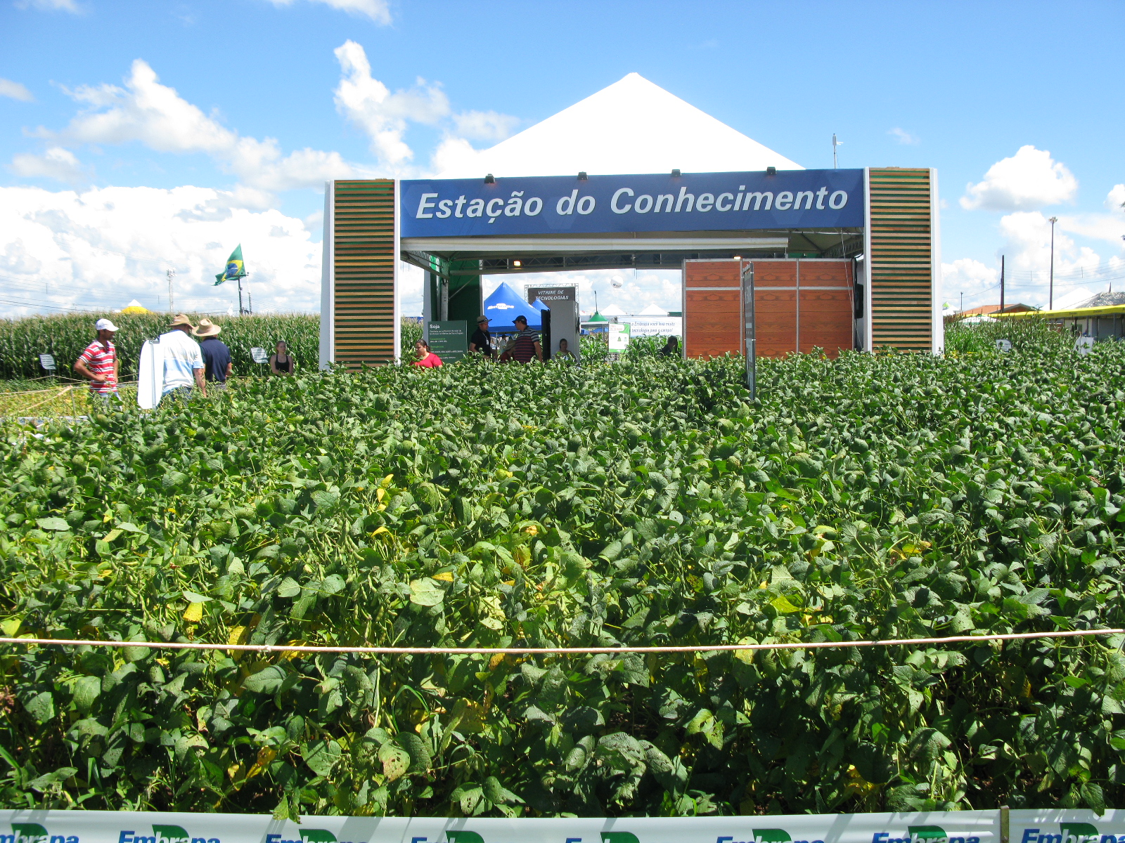 Lançamentos marcam presença da Embrapa no Show Rural