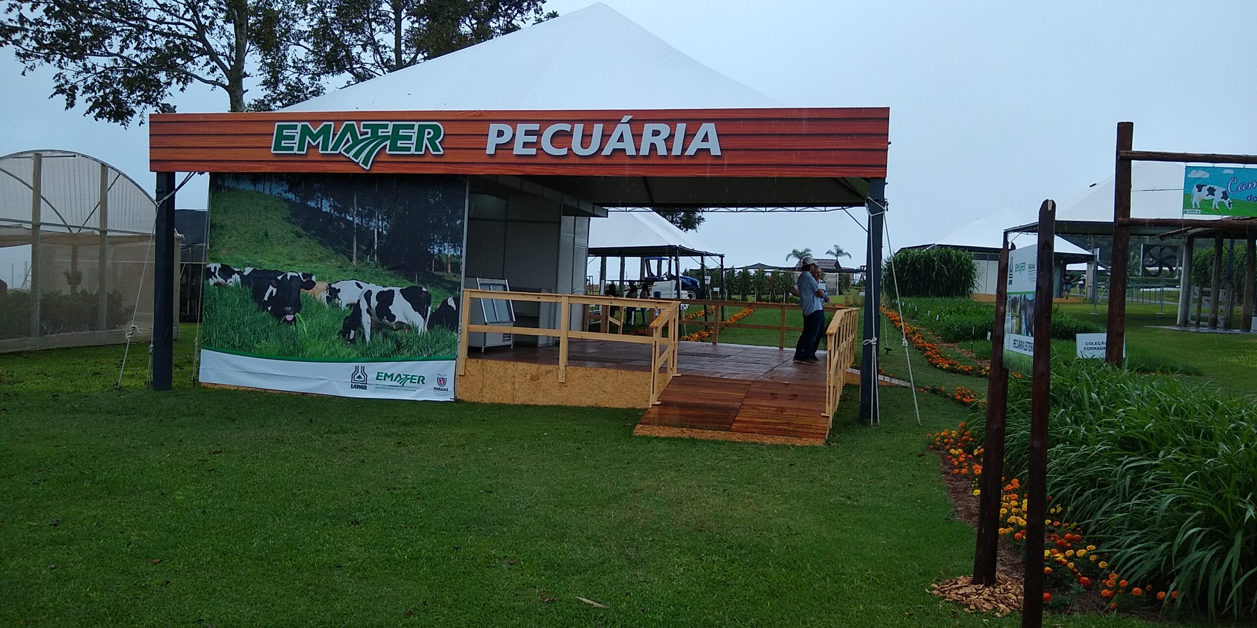Do pasto ao prato, EMATER mostra qualidade na Pecuária
