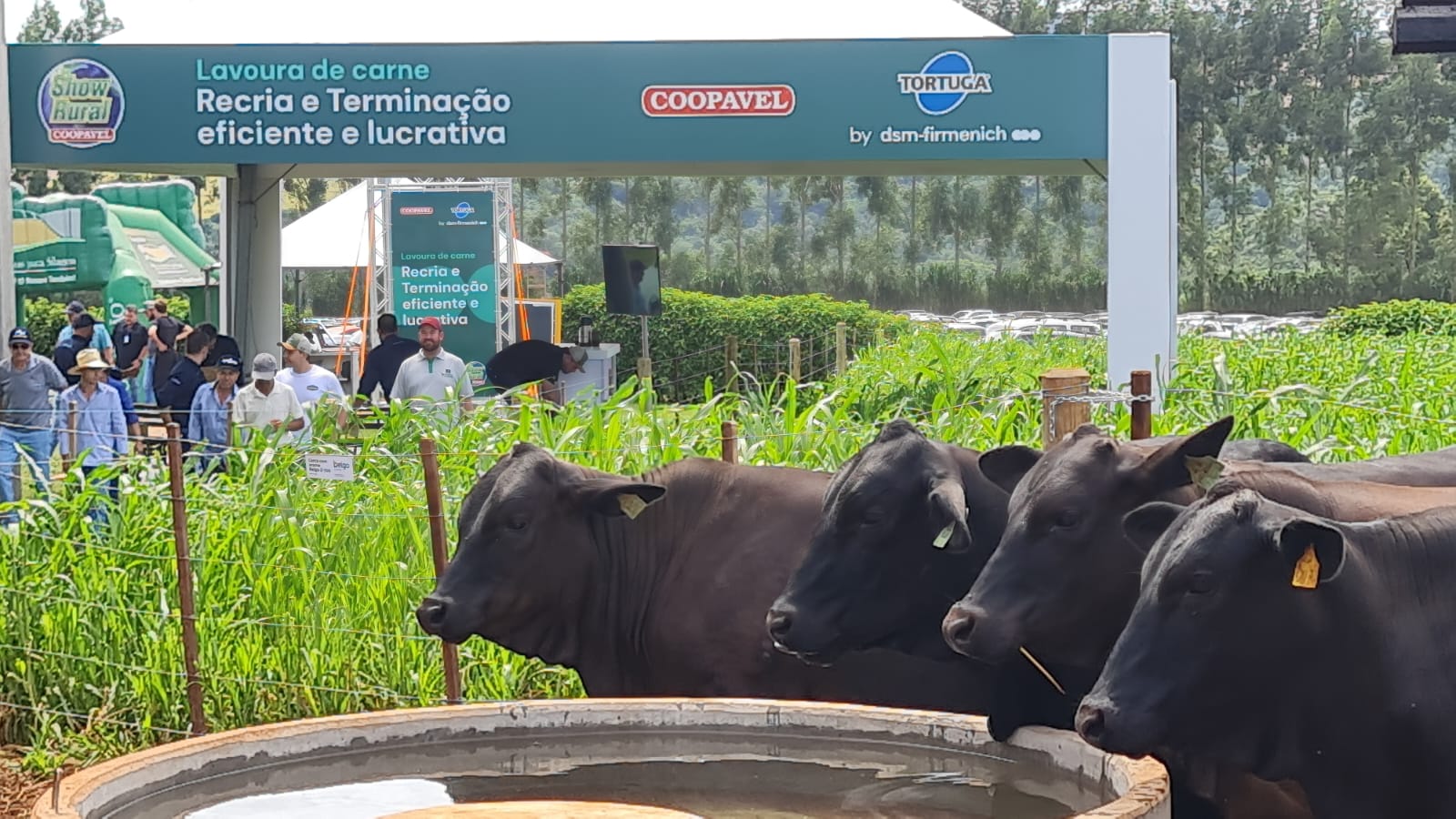 Pecuaristas conhecem o projeto Lavoura de Carne na prática