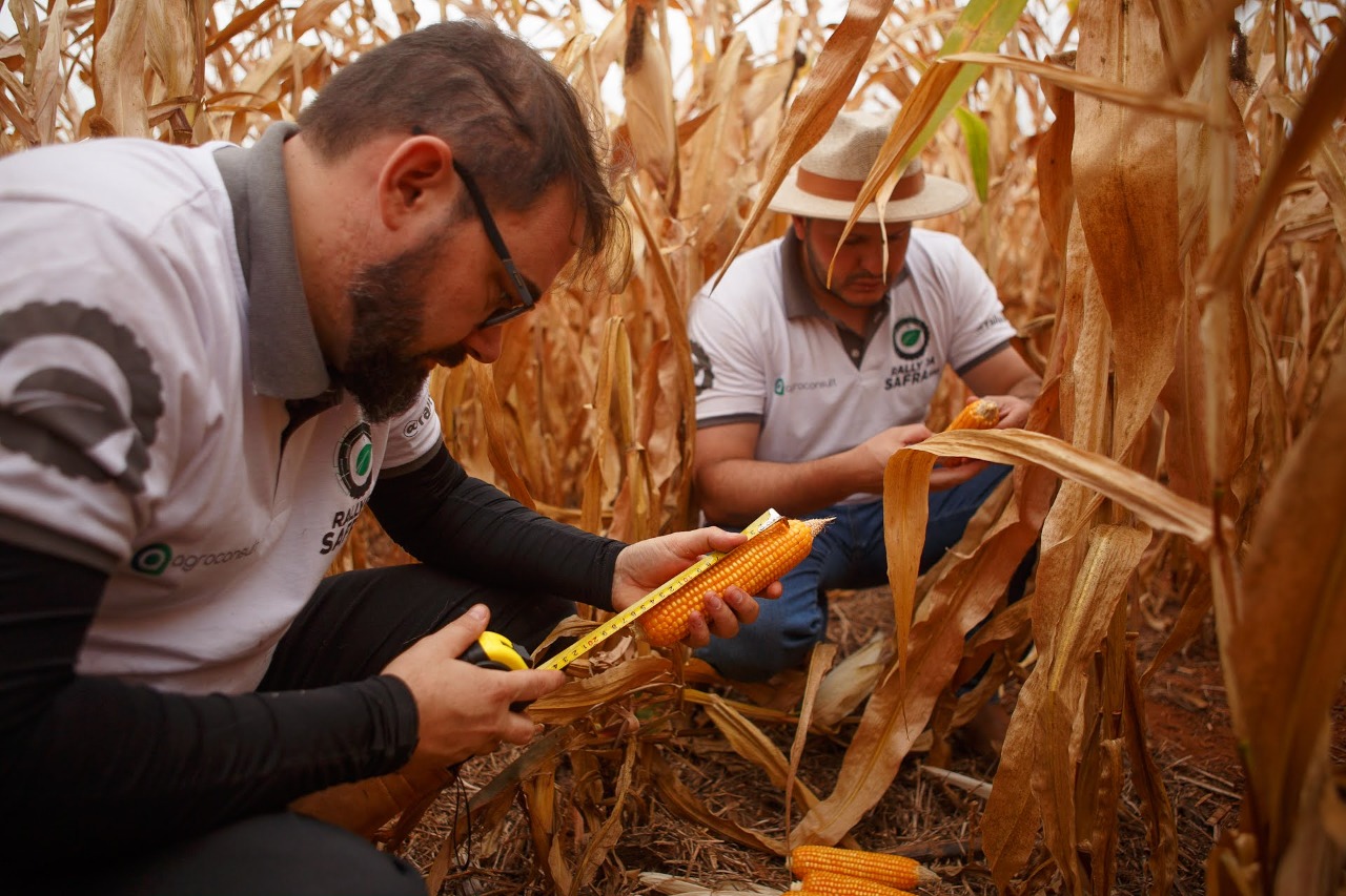 Cascavel recebe nesta quinta-feira o Rally da Safra