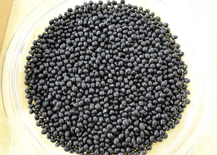 Sementes: Soja preta é saborosa e rica em proteínas