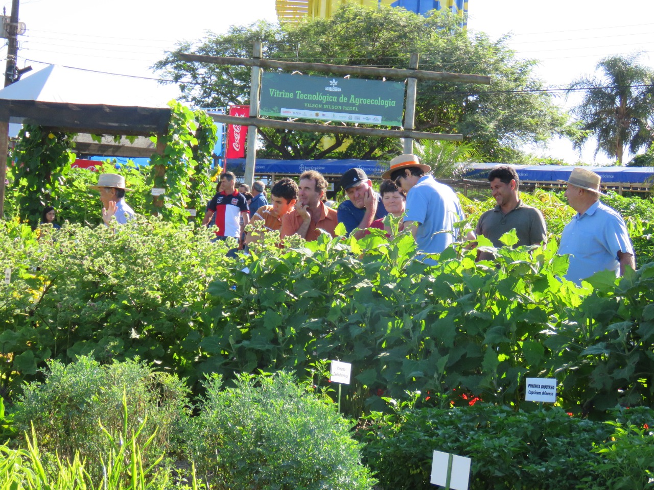 Vitrine de Agroecologia será uma das novidades do Show Rural de Inverno