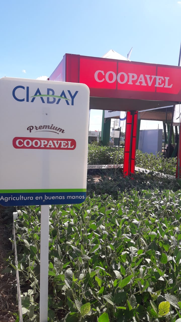 Com fertilizante premium, Coopavel amplia presença no agro do Paraguai