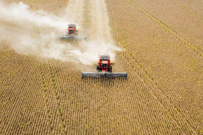 BASF leva ao Show Rural Coopavel oferta conectada de soluções para a agricultura
